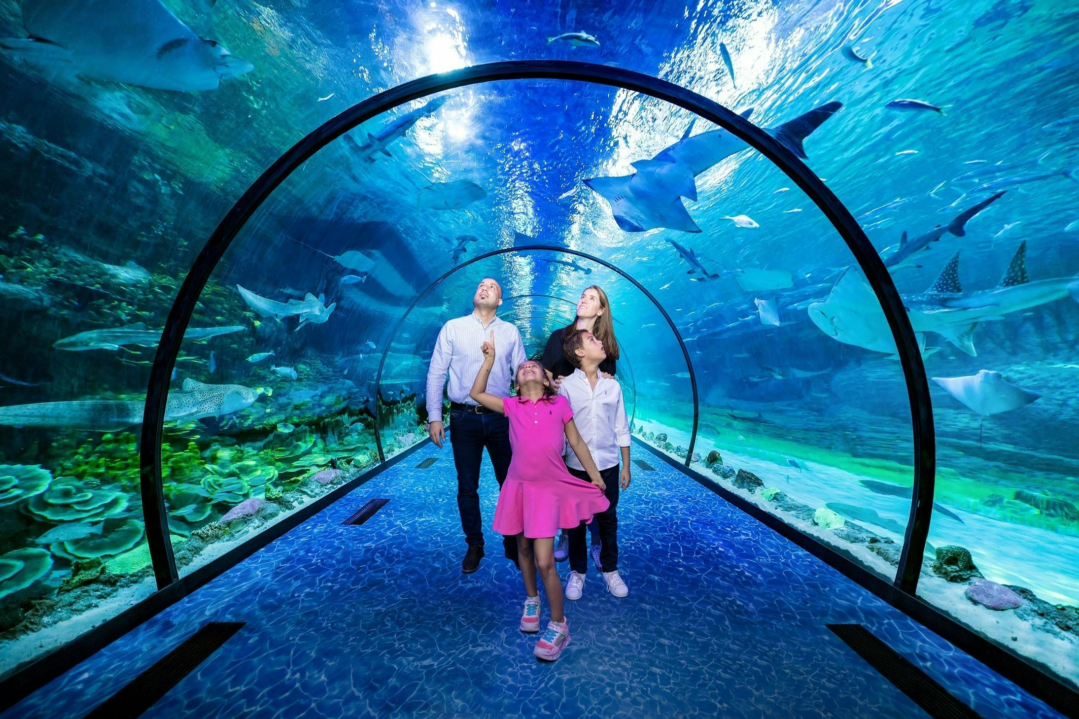 The National Aquarium Abu Dhabi: Entry + Pixoul Gaming + The Adrenark Adventure - Photo 1 of 10